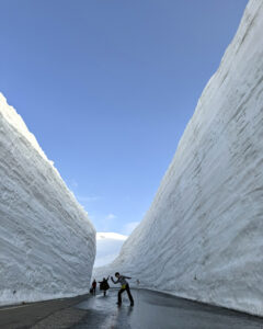 立山・雪の大谷