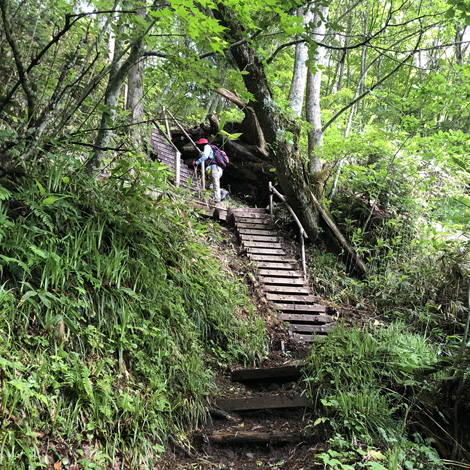 蝶ヶ岳(標高2677m)登山