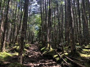 八ヶ岳登山