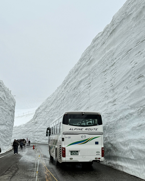 立山・雪の大谷