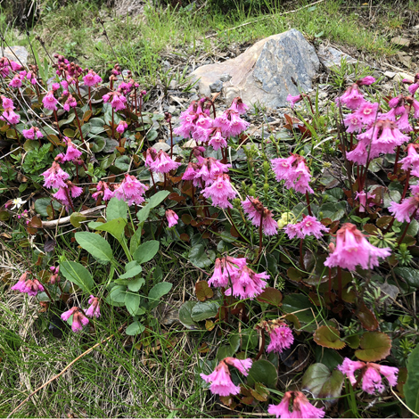 蝶ヶ岳(標高2677m)登山