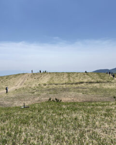 葛城山のつつじ