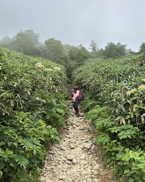 白山登山