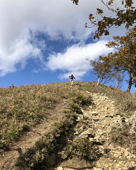 竜ヶ岳登山