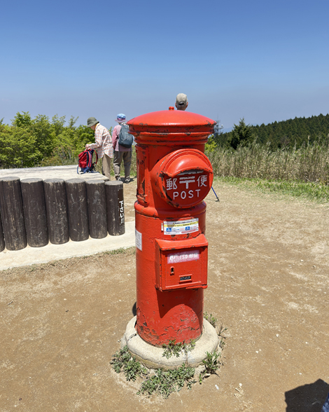 葛城山のつつじ