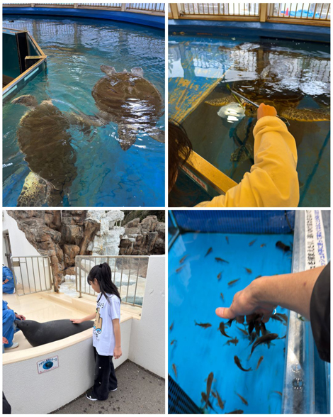 越前松島水族館