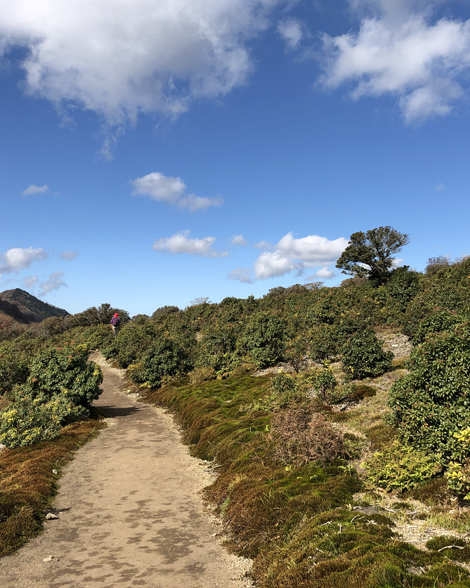 竜ヶ岳登山