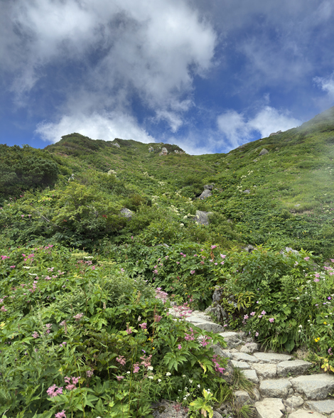 白山登山