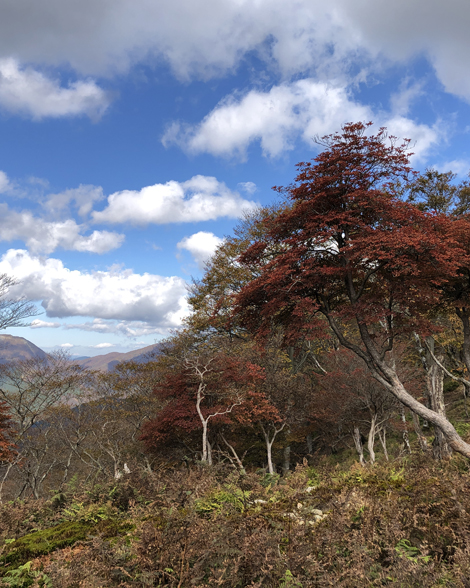 竜ヶ岳登山