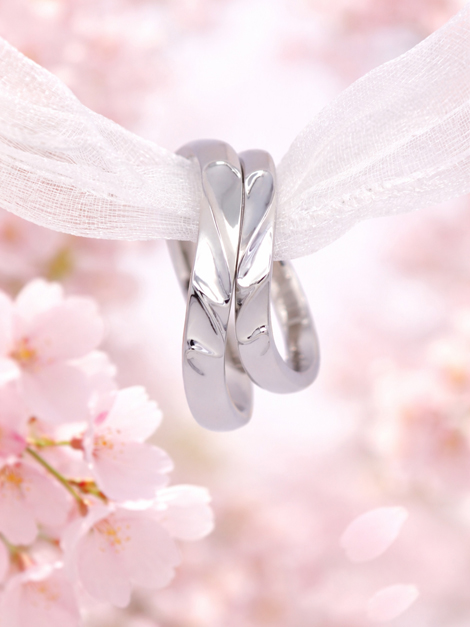 新年度　桜　スタート