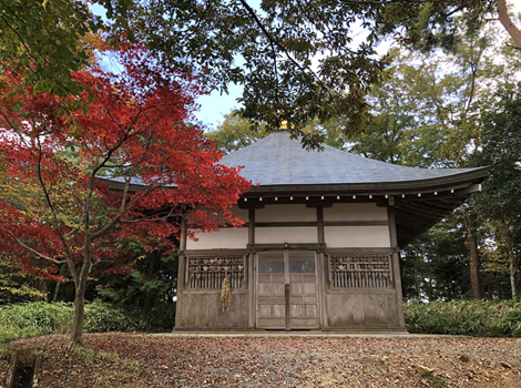 栗東市金勝山