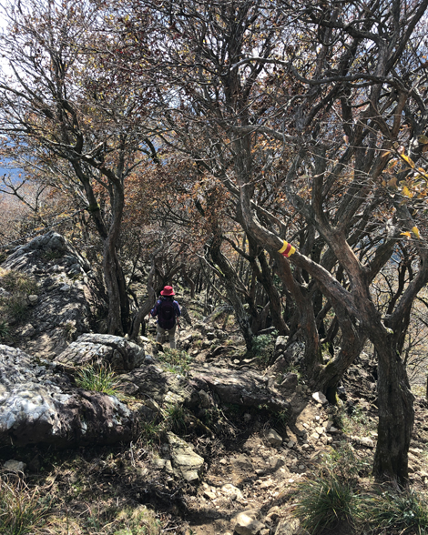 竜ヶ岳登山