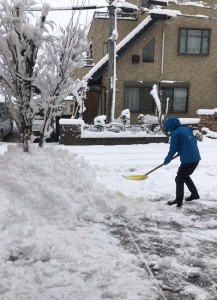 大雪となりまし