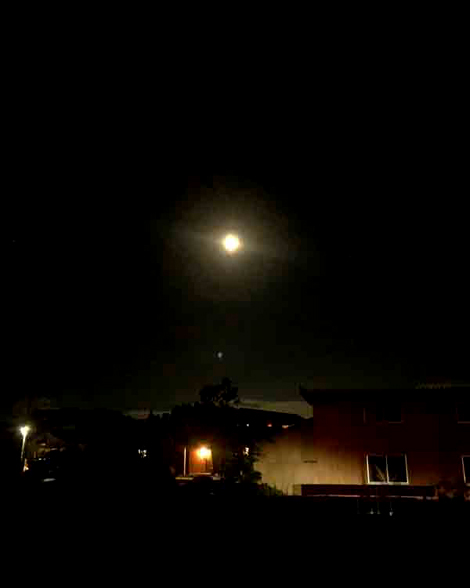 月 天体観望会