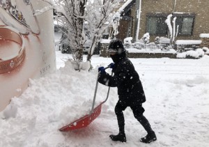 大雪となりまし