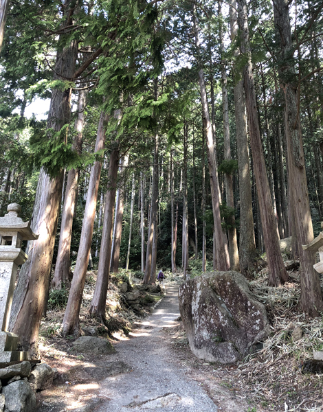 飯道山