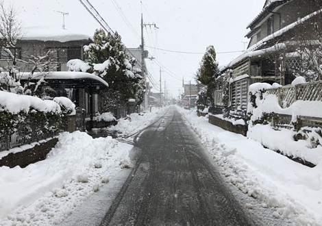 滋賀 雪