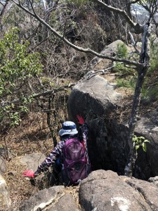 太郎坊山（赤神山）