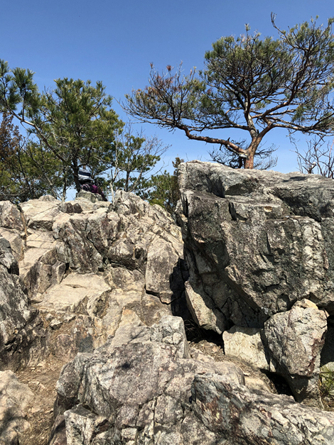 太郎坊山（赤神山）