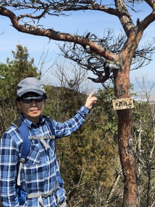 太郎坊山（赤神山）