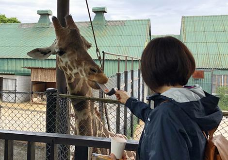 姫路サファリパーク