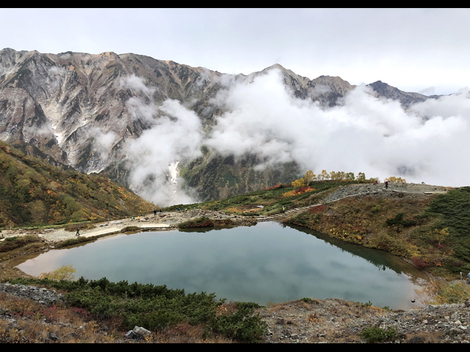 唐松岳