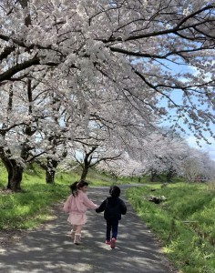 桜並木の散歩