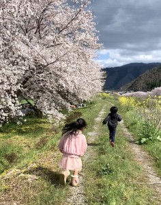 桜並木の散歩