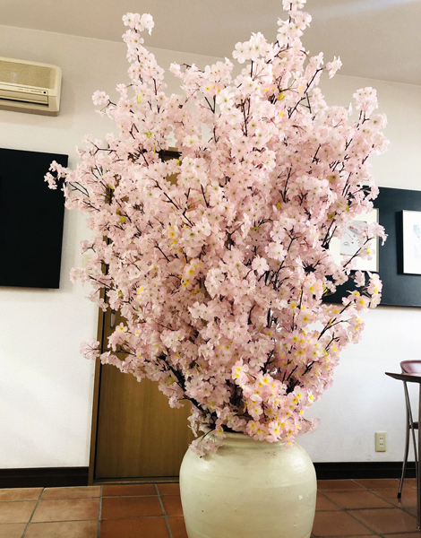  桜のディスプレイ