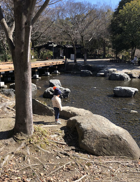 東京の孫が初めて家にやってきました☆