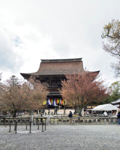 吉野山の桜