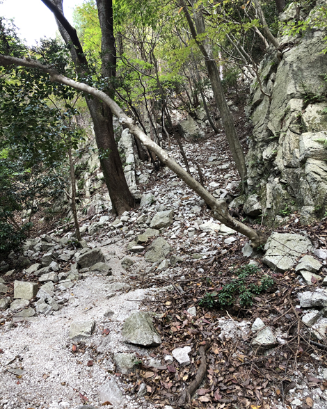 竜ヶ岳登山