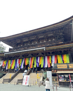 吉野山の桜