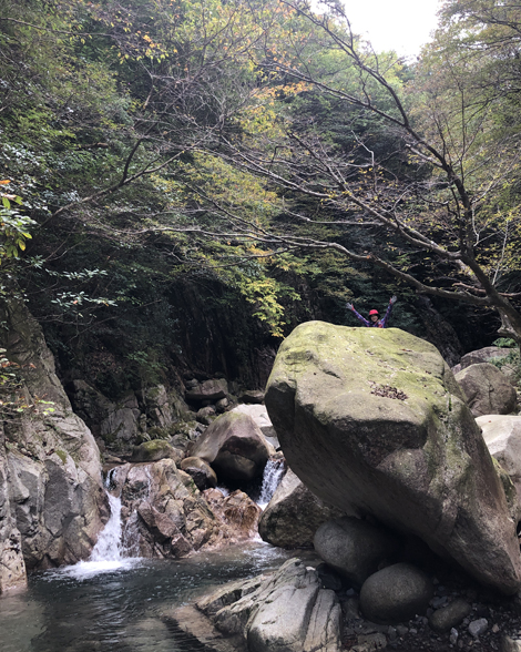 竜ヶ岳登山