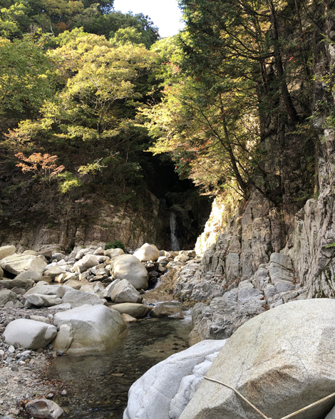 竜ヶ岳登山