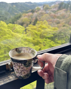 吉野山の桜