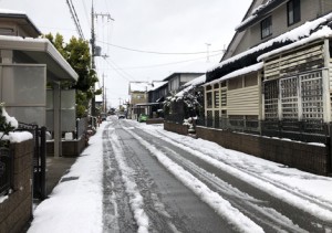 初雪