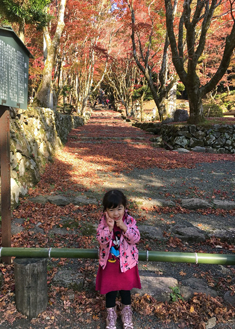 鶏足寺　紅葉