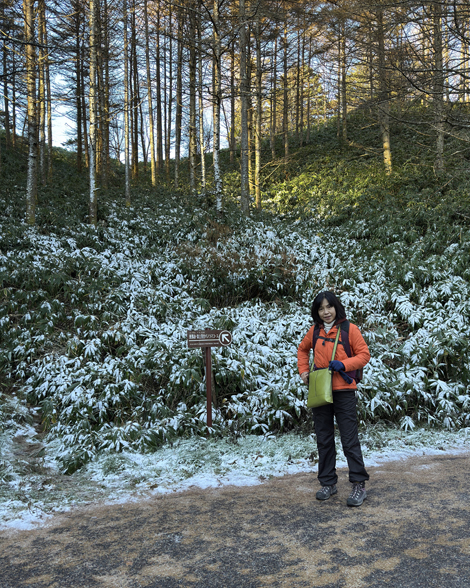 富士見台高原登山
