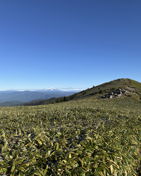 富士見台高原山頂