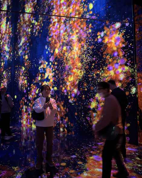 アートを楽しむチームラボ京都に行ってきました✨