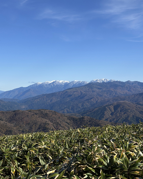 体力を維持するため始めた登山🏔️　今年最後の登山でした✨
