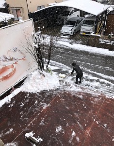 初雪