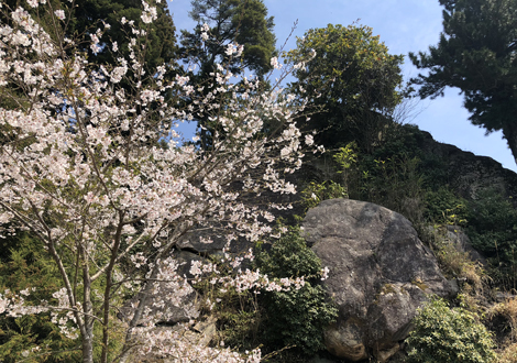 飯道山