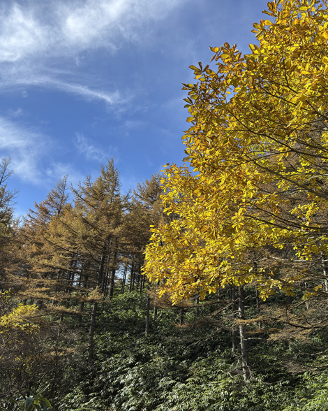 富士見台高原登山