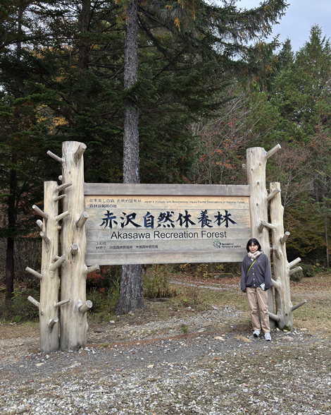 赤沢自然休養林