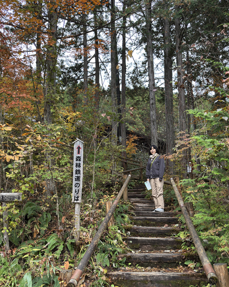 赤沢自然休養林