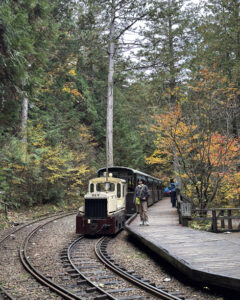 赤沢自然休養林