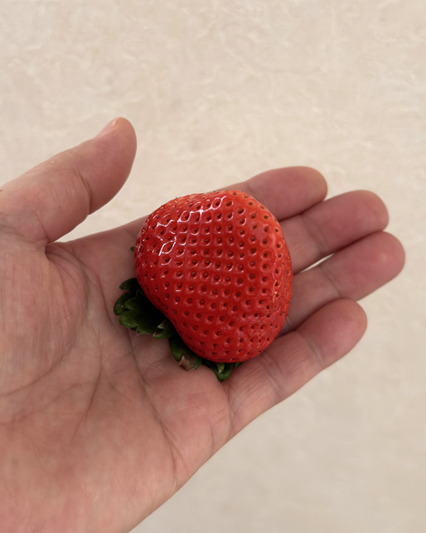 道の駅あいの 土山