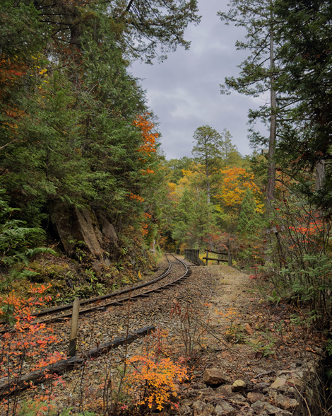 赤沢自然休養林